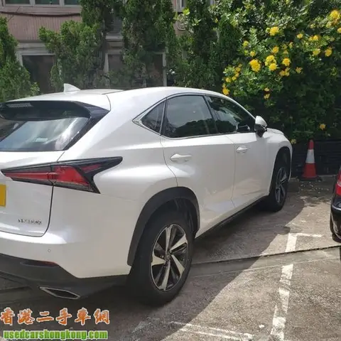凌志 Mags Tyres 2018 Lexus nx300 ultimate
