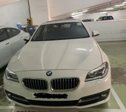 BMW 5 Series 520i SALOON (F10)