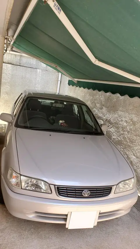 豐田 Corolla
