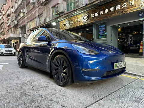 Tesla Model Y
 MODEL Y PERFORMANCE