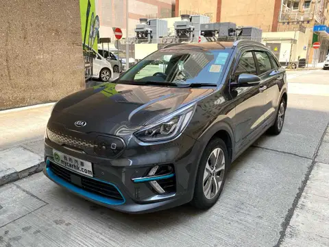 起亞 Niro EV DELUXE