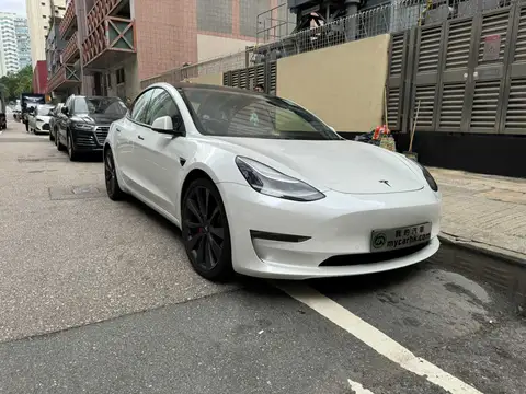 Tesla Model 3 PERFORMANCE