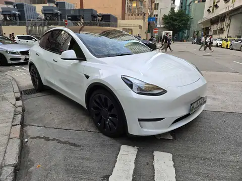 Tesla Model Y PERFORMANCE