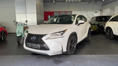 Lexus NX 300H
