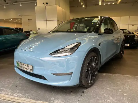 Tesla Model Y PERFORMANCE