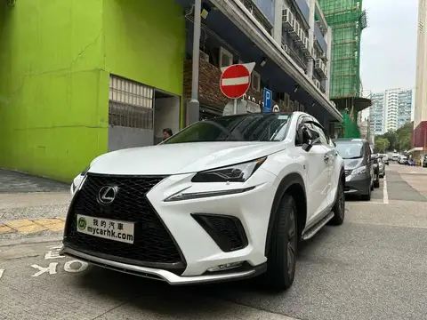 Lexus NX  NX300 F SPORT