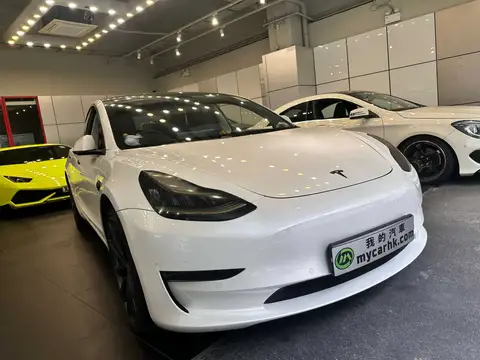 Tesla Model 3 PERFORMANCE