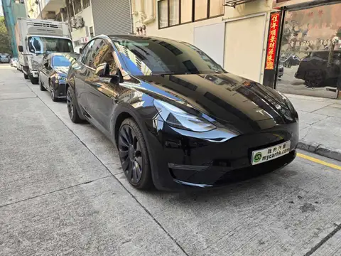 Tesla Model Y PERFORMANCE