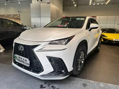 凌志 NX NX 300 F SPORT