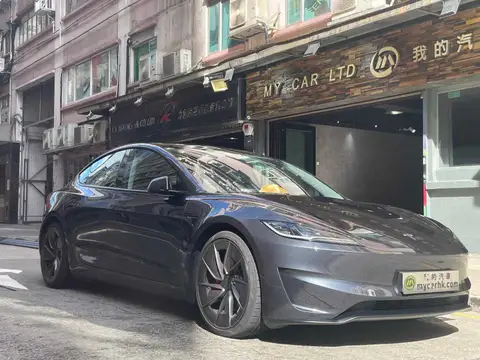 Tesla Model 3 PERFORMANCE