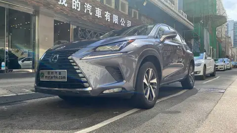Lexus NX  NX300 ULTIMATE