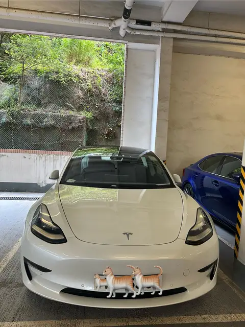 Tesla Model 3 美製 Model 3 long range
