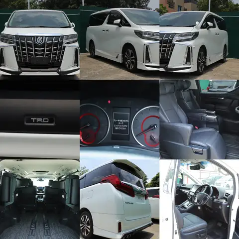 Toyota Alphard V6 3.5 TRD