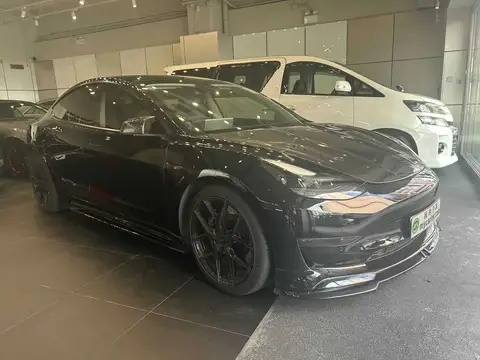 Tesla Model 3 PERFORMANCE