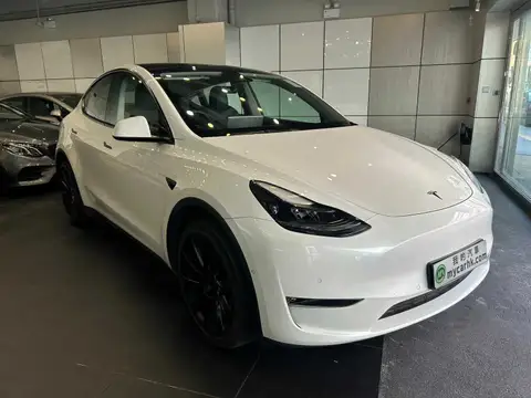 Tesla Model Y LONG RANGE