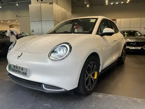 ORA O3 ORA FUNKY CAT